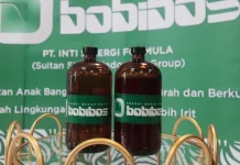 Bobibos, Semakin Dikenal Dunia dan Menjalani Uji di Dalam Negeri