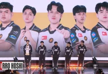 Gagal ke Playoff, Ini Perjalanan RRQ Hoshi di MPL Indonesia S17