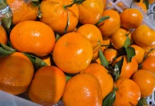Kaya Vitamin C, Jeruk Jadi Buah Favorit Penjaga Imunitas