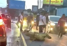 Laka Lantas di Puncak Bogor Libatkan Pemotor dan Pengendara Mini Bus