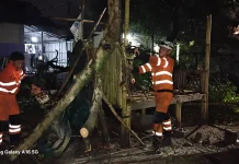 BPBD Kota Bogor Siaga Bencana, Hadapi Fluktuasi Cuaca