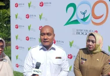 Tanaman Sawit di Kebun Raya Bogor Jadi Warisan Hayati Bersejarah