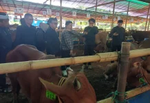 Stok Hewan Kurban Kota Bogor Aman jelang Iduladha