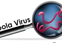 Virus Ebola Merebak di Republik Demokrat Kongo
