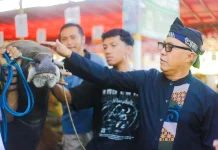 Pemeriksaan Hewan Kurban di Kota Bogor Terus Berjalan