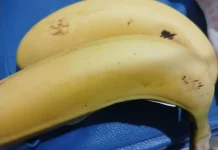 Tips Memilih Pisang Alami, Hindari Karbitan dan Pematangan Buatan