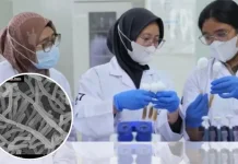 Penemuan Langka, Bakteri dari Indonesia Tahan Suhu Ekstrem
