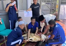 Iduladha di Lapas Paledang, Warga Binaan Nikmati Kurban