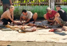 Cara Menghilangkan Bau Amis Daging Kurban agar Tetap Segar dan Lezat