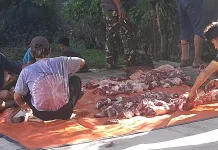 Dinkes Kota Bogor Awasi Pemotongan Hewan Kurban