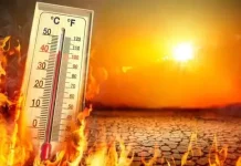 Dunia Diperkirakan Hadapi Gelombang Panas Ekstrem hingga 2030