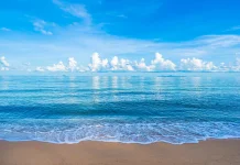 Sudah Tahu Belum? Setiap 8 Juni Diperingati sebagai Hari Laut Sedunia