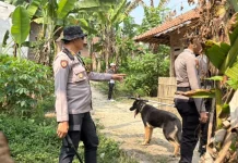 Polisi Turunkan Tim K9 Sisir Anjing Pemburu Liar di Jasinga