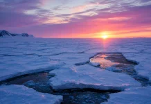 Antarktika Dilanda Gelombang Panas, Suhu Musim Dingin Capai 15,4 Derajat Celsius