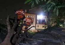 Pohon Tumbang Timpa Rumah Warga dan Warung di Cimahpar