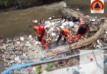 Pohon Tumbang di Batutulis Sempat Menutup Aliran Kali Cibalok