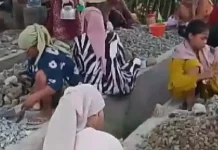 Puluhan Ibu Rumah Tangga di Desa Cipinang Meprek Batu Demi Penuhi Kebutuhan Hidup
