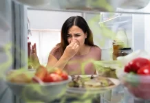 Tips Menghilangkan Bau Tak Sedap pada Kulkas agar Tetap Segar dan Higienis
