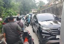 Libur Sekolah Tiba, Jalur Puncak Bogor Mulai Dipadati Wisatawan