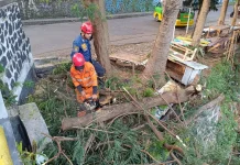 Pohon Tumbang di Kebonpedes Sempat Tutup Akses Jalan