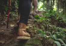 Hiking Tingkatkan Kebugaran Kurangi Stres dan Risiko Penyakit