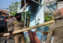 Tegakkan Aturan, Satpol PP Kabupaten Bogor Tertibkan 103 Bangli di Ciseeng