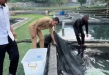 Wabup Bogor Dorong Penguatan Perikanan Air Tawar di Balai Riset di Cijeruk