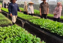 Distanhorbun Kabupaten Bogor Terus Dorong Ketahanan Pangan Masyarakat