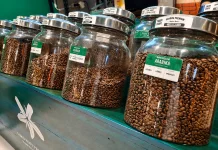 Kopi Arabika Gayo, yang Diakui Sebagai Salah Satu Biji Kopi Terbaik Dunia