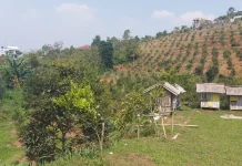 Kelompok Tani Salak Jaya di Cigombong Desak BPN Ukur Ulang Tanah