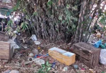 Camat Cibinong: TPS Ilegal di Cibinong jadi Tempat Pembuangan Sampah Warga Depok