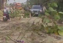 Warga Parungpanjang Tutup Jalan Provinsi akibat Debu ditengah Perbaikan Jalan