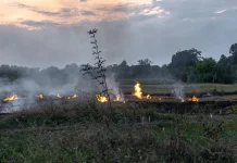 Musim Kemarau, Warga Diimbau Tidak Membakar Sampah dan Lahan