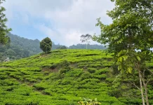 Healing Tipis di Sela Kesibukan untuk Menghindari Stres