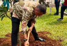 Gerakan "Bogor Tiada Hari tanpa Menanam" Dimulai, 2.000 Pohon Ditanam di Pakansari