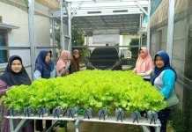 Minat Urban Farming Terus Meningkat di Perkotaan