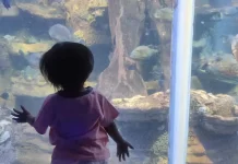 Mengenalkan Kehidupan Biota Laut kepada Anak Melalui Aktivitas Edukatif