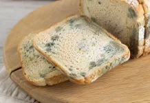 Roti Berjamur Masih Bisa Dimakan? Ini Penjelasan Ahli