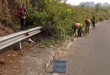 UPT Infrastruktur Ciawi Kabupaten Bogor Fokuskan Penataan Bahu Jalan