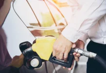 International Biodiesel Day, Mengenal Bahan Bakar Alternatif dari Sumber Terbaru