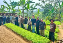 Edufarmers Foundation dan SASPRI Nasional Perkuat Ekonomi Petani Nanggung