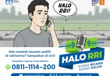 Damkar Kabupaten Bogor Imbau Warga Tak Evakuasi Monyet Liar Secara Mandiri