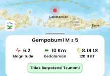 Gempa Bumi NTT jadi Pengingat Pentingnya Kesiapsiagaan Hadapi Potensi Bencana