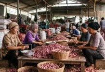 Keluarga Pengupas Bawang di Bogor Klarifikasi Pernyataan Presiden Prabowo