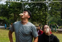 Perayaan HUT RI ke-81, Kebun Raya Bogor Padukan Budaya dan UMKM