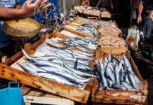 Cermat sebelum Membeli, Begini Cara Memilih Ikan Segar