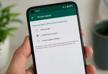 Dua Langkah Mudah Sembunyikan Status WhatsApp dari Publik