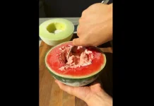 Tren Es Krim Semangka Dua Bahan, Segar dan Mudah Dibuat