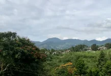 Puncak Bogor Terasa Dingin saat Musim Kemarau, ternyata Ini Penyebabnya