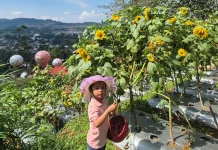 Anak yang Sering Bepergian Cenderung Lebih Cerdas, Benarkah?